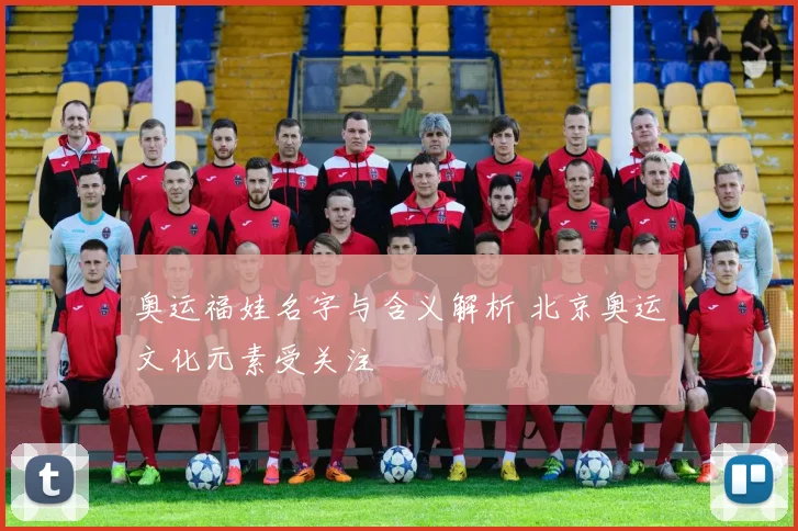 奥运福娃名字与含义解析 北京奥运文化元素受关注