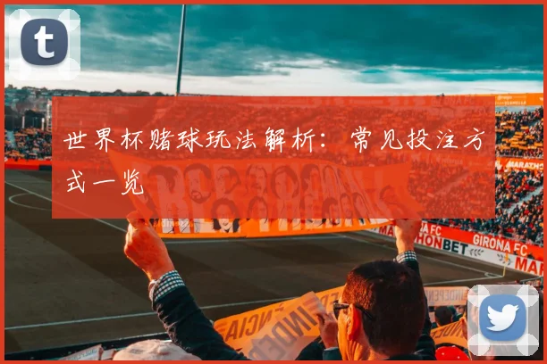 世界杯赌球玩法解析:常见投注方式一览