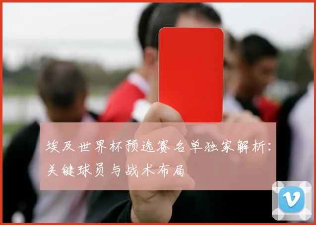 埃及世界杯预选赛名单独家解析:关键球员与战术布局