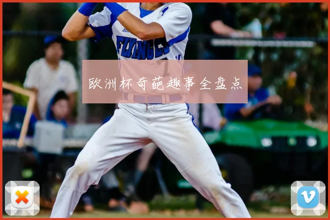 欧洲杯奇葩趣事全盘点
