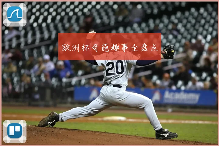 欧洲杯奇葩趣事全盘点