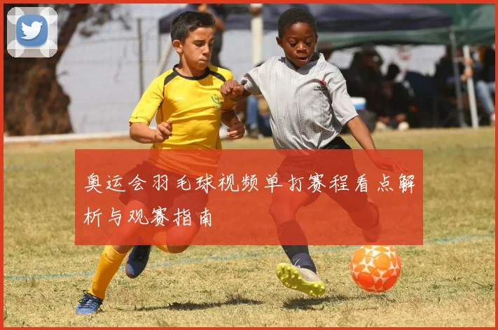 奥运会羽毛球视频单打赛程看点解析与观赛指南