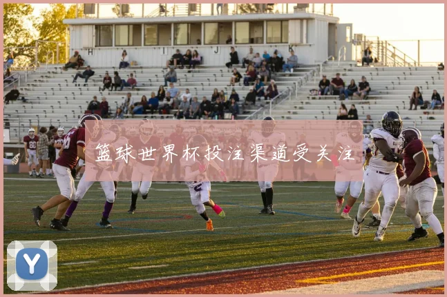 篮球世界杯投注渠道受关注