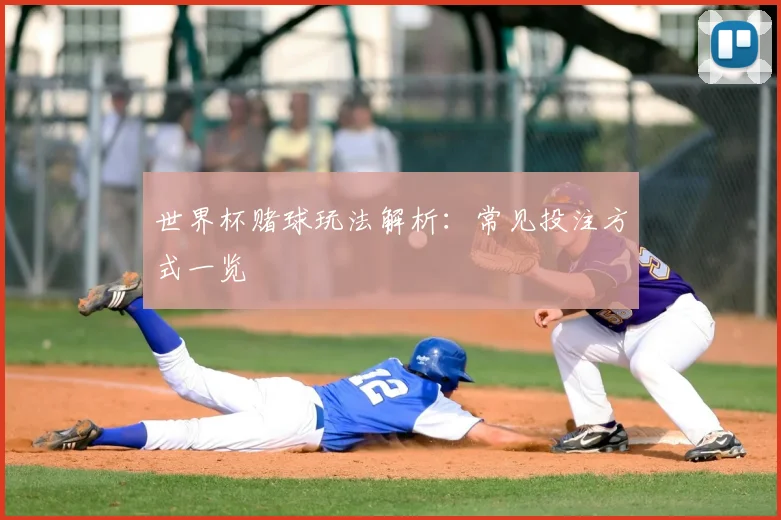 世界杯赌球玩法解析：常见投注方式一览
