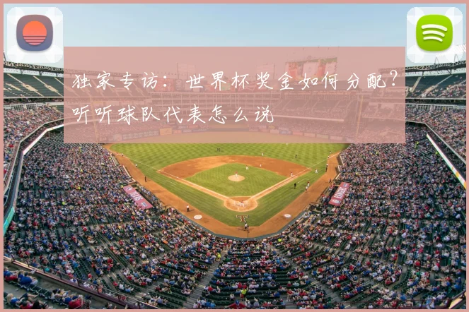 独家专访:世界杯奖金如何分配?听听球队代表怎么说