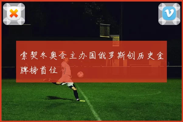 索契冬奥会主办国俄罗斯创历史金牌榜首位