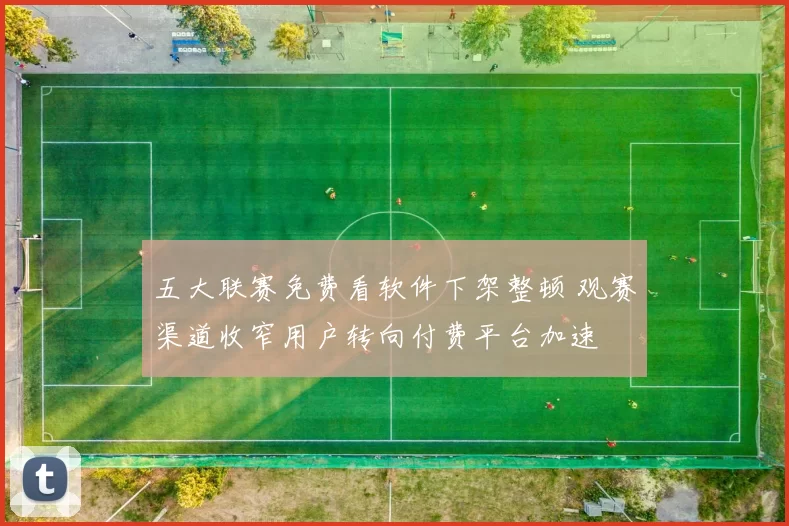 五大联赛免费看软件下架整顿 观赛渠道收窄用户转向付费平台加速