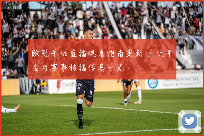 欧冠手机直播观看指南更新 主流平台与赛事转播信息一览