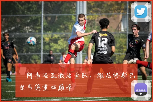 ​阿韦洛亚激活全队，维尼修斯巴尔韦德重回巅峰