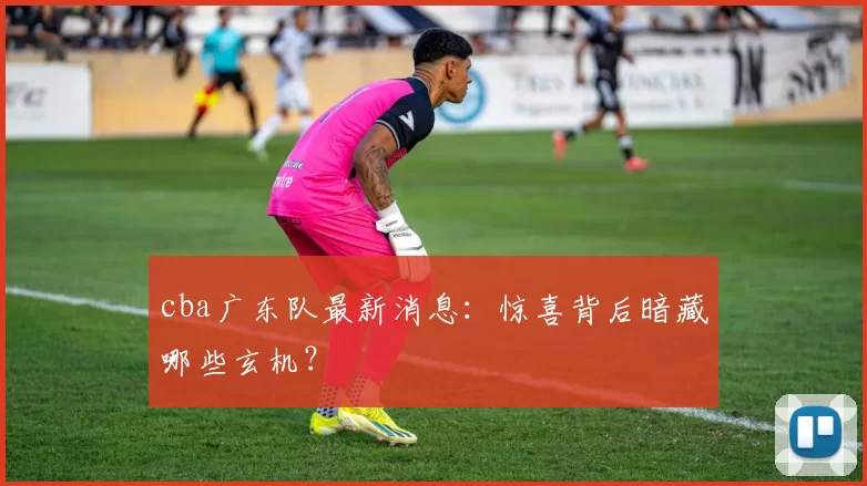 cba广东队最新消息：惊喜背后暗藏哪些玄机？