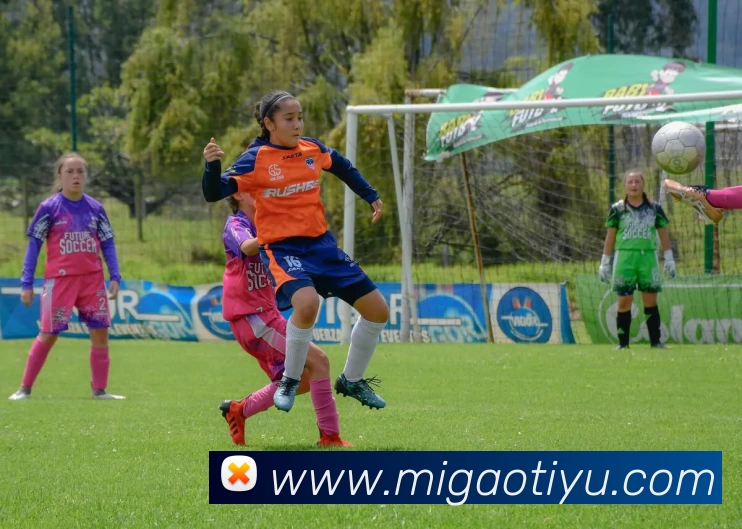 开云网页版·官方版在线 - 开云(中国)平台生态图