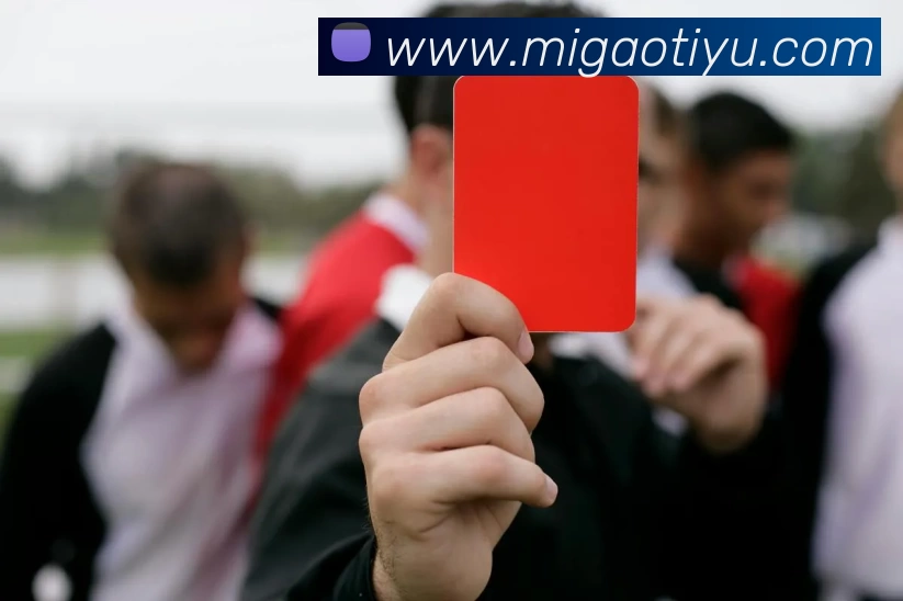 开云网页版·官方版在线 - 开云(中国)APP 封面图